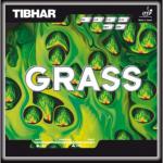 Tibhar Grass